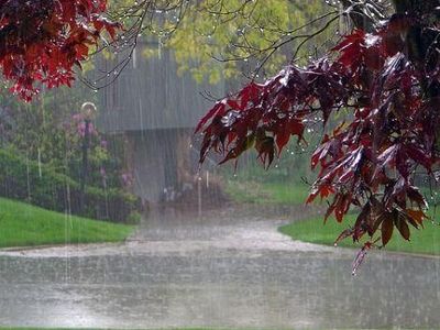 دمای هوا تا 7 درجه در استانهای شمالی کاهش می یابد