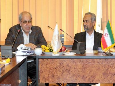 نیلی باید به عنوان مشاور اقتصادی روحانی مسئولیت تصمیمات غلط را بر عهده بگیرد/ ورود نهاوندیان به دولت هیچ دردی از بخش خصوصی دوا نکرد