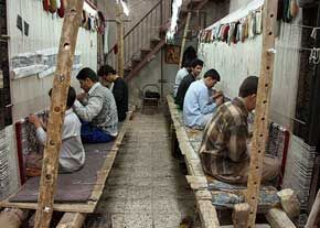 صدهزار نفراز بافندگان فرش تحت پوشش بیمه کشاورزان قرار می گیرند