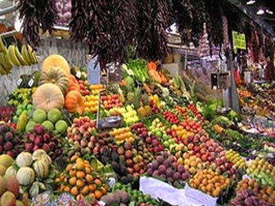 مشوق‌های صادراتی دولت در جهت افزایش واردات است/ توقف صادرات سیب ایران به کویت
