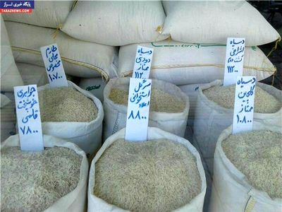 افزایش واردات برنج ربطی به کنترل قاچاق ندارد/ می‌خواهند برنج ایرانی را گران نشان دهند که واردات را افزایش دهند