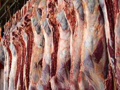 حجم واردات روزانه گوشت به کشور ازمرز 600 هزارتن گذشت