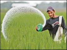 دولت مصوبه خرید محصولات پتروشیمی برمبنای قیمت بورس را ارسال نکرد