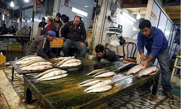 ماهی جنوب صدرنشین قیمت ها در بازار گوشت سفید/ قیمت هرکیلوگرم مرغ در میدان بهمن 62 هزار ریال رسید