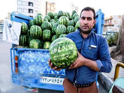 40 هزارتن هندوانه کمتر ازسال قبل برای شب یلدا آماده شد