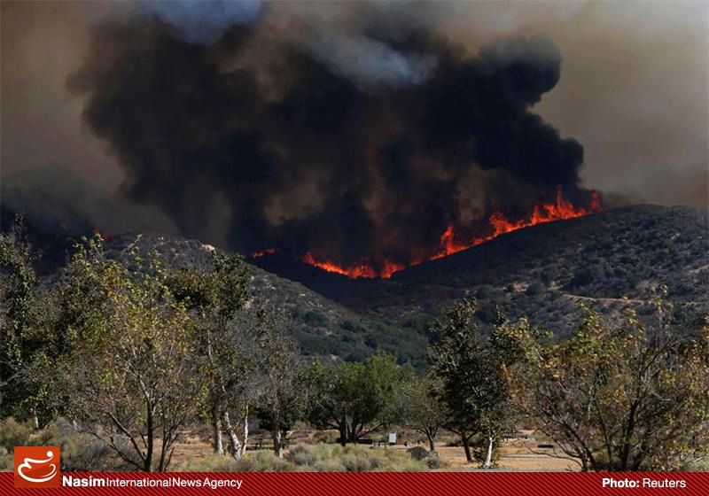آتش سوزی جنگل ها درکشور 20 درصد افزایش یافت