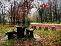 مدیریت سهام‌ عدالت بر پارک جنگلی مازندران پایان یافت/برگزاری مزایده واگذاری بزودی