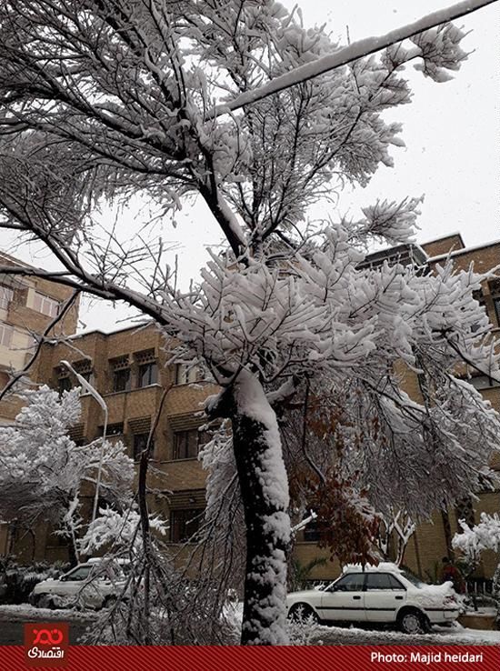 بارش باران در برخی مناطق شدت میگیرد/بارش باران و برف در پایتخت