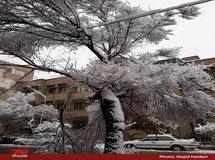 بارش باران در برخی مناطق شدت می‌گیرد/بارش باران و برف در پایتخت