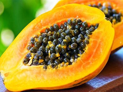 واردات میوه های منگوتین و پاپایا دوباره ممنوع شد