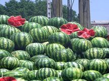 180 میلیون دلار خربزه و هندوانه صادر کردیم، در ازایش 77 میلیارد لیتر آب هدر دادیم، می‌صرفد؟