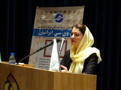 پتروشیمی‌ها سهم عمده‌ای در بهم ریختگی بازار ارز دارند/ پتروشیمی‌ها مواد اولیه آب معدنی را به خارج صادر می‌کنند!