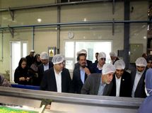 ستاد تنظیم بازار عملا تعطیل است