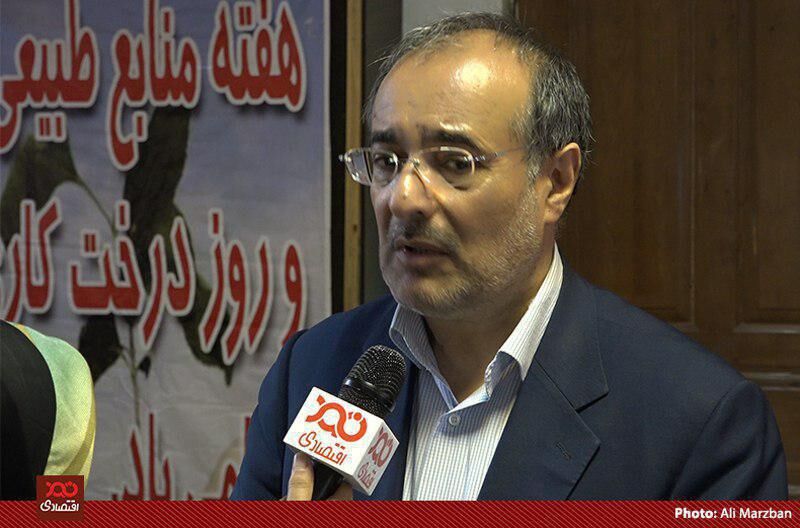 گرانی دلار در ماه‌های اخیر سفره مردم را یک سوم کوچک کرد