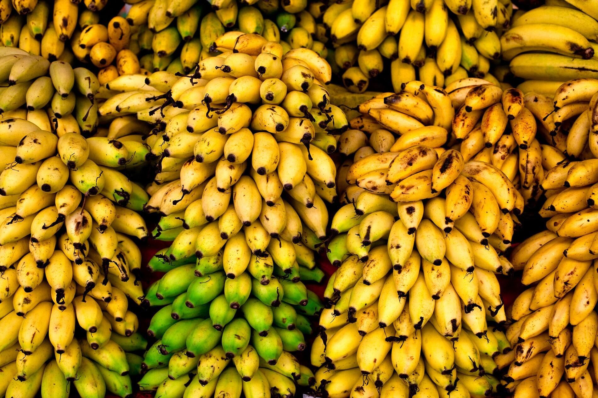 موز کیلویی ۴۵ هزار تومان