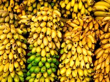 موز کیلویی ۴۵ هزار تومان