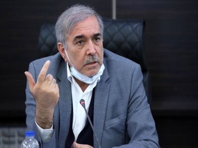  تجربه توسعه درون زا در مناطق آزاد باید در سایر نقاط کشور الگو برداری شود