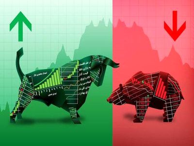 هیچ کس نمی‌توانست زمان و میزان سقوط بورس را پیش بینی کند(۳)