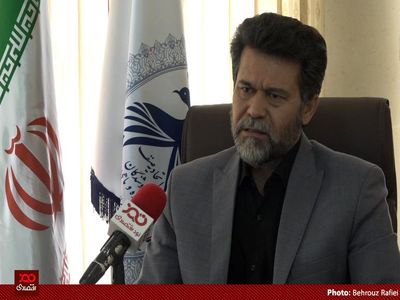 برخلاف اظهارات وزیر جهاد کشاورزی ۹۰ درصد تخلفات در بازار مرغ در بخش تامین بوده است