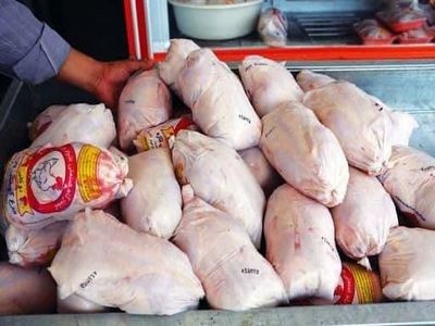 ۹۰ تن مرغ وارداتی رسیده ولی امکان ترخیص ندارد