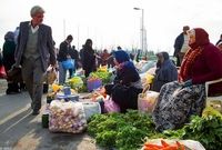  با وجود پرداخت ۱۲ هزار میلیارد تومان تسهیلات صندوق توسعه ملی، شاغلان روستاها ۸۵۰ هزار نفر کاهش یافت