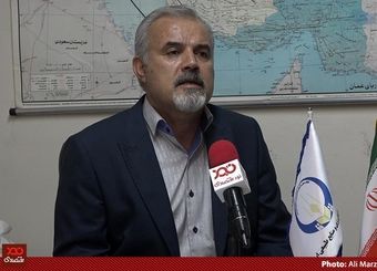 امسال دولت باید حداقل ۶ میلیون تن گندم وارد کند