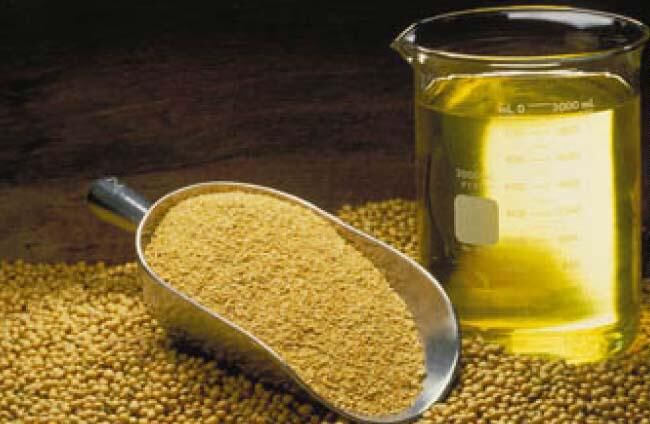 واردات ۶۶۷ هزار تن سویای تراریخته در بهار ۱۴۰۰
