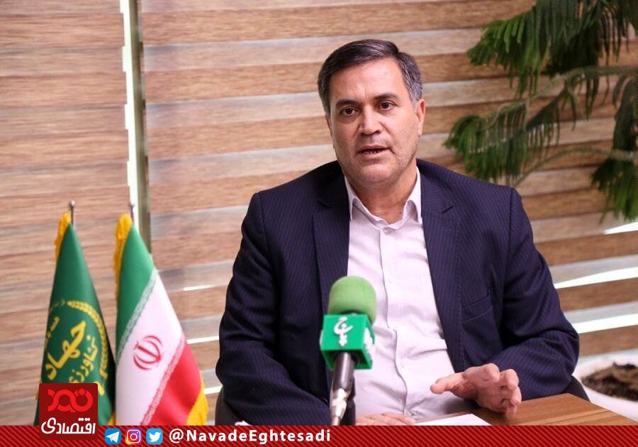 ارز مورد نیاز برای ترخیص نهادهها از گمرک تامین نشده است