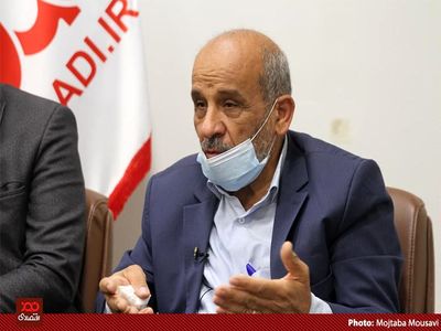 روحانی در سهام عدالت هرج و مرج ایجاد کرد، من که معاون سازمان خصوصی سازی بودم، گیج شدم