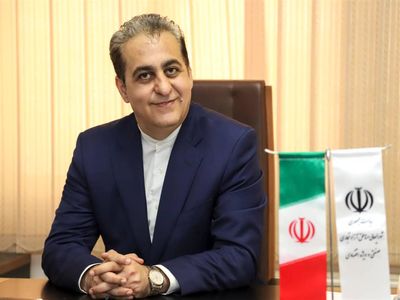 بیمه مرکزی در امور اجرایی شرکت های بیمه ای  دخالت می کند