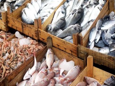 سهم مصرف گوشت ماهی هر ایرانی ۱۳ کیلوگرم در سال است