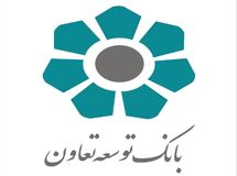 کفایت سرمایه بانک دولتی توسعه تعاون منفی شد