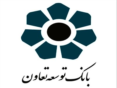 کفایت سرمایه بانک دولتی توسعه تعاون منفی شد