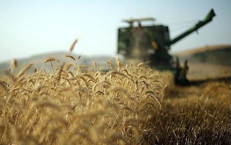 به علت کاهش تولید گندم در دولت قبل، دولت فعلی باید ۵ میلیون تن گندم از خارج وارد کند