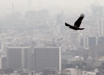 مدارس تهران غیرحضوری شد