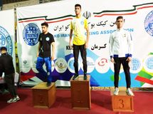 راه‌یابی کارشناس بیمه ملت به اردوی تیم ملی کیک‌بوکسینگ کشور