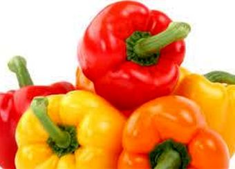 از سرگیری صادرات فلفل دلمه‌ای به روسیه از ۱۴ اسفند