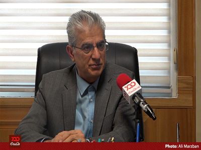 تعلیق ورود خودرو به بورس از سوی وزارت صمت جلوی شفافیت را در بازار می‌گیرد