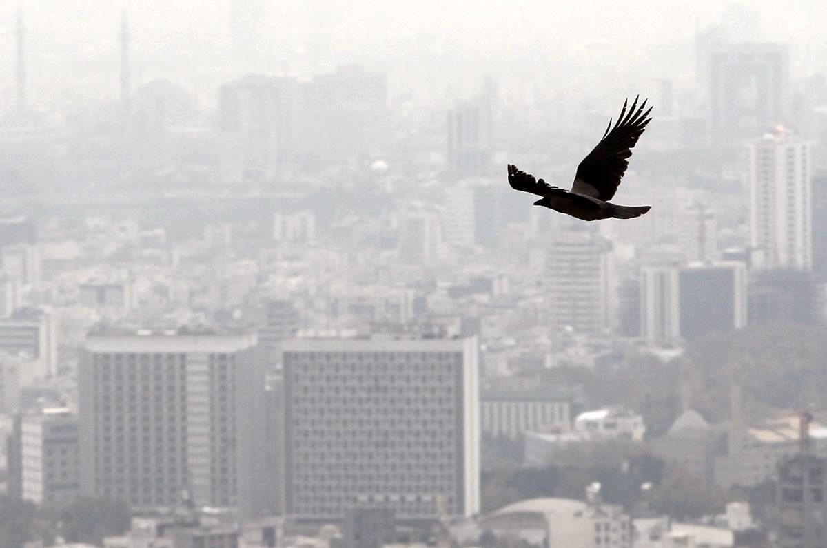 هواشناسی ایران ۱۴۰۱/۰۱/۳۰؛ هشدار ورود توده گردوخاک به کشور/ ۱۴ استان درگیر آلودگی هوا می‌شوند