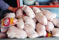 عرضه مرغ منجمد متوقف شد