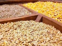 یک میلیون تن نهاده‌ای که وزارت جهاد در سامانه بازارگاه بارگزاری کرد یک ساعته تمام شد
