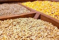 یک میلیون تن نهاده‌ای که وزارت جهاد در سامانه بازارگاه بارگزاری کرد یک ساعته تمام شد