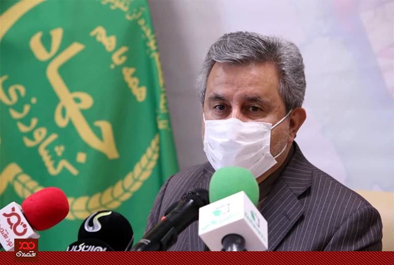 خرید تضمینی گندم امسال هم ۴.۵ میلیون تن است/ میزان بارندگی در کشور ۳۰ درصد کاهش یافته