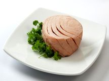 رشد ۹۷ درصدی صادرات کنسرو ماهی