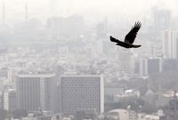 پیش‌بینی وزش باد شدید و خیزش گردوخاک در تهران، البرز و چند استان دیگر