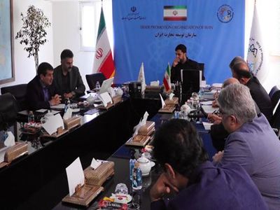 برنامه استراتژی ملی صادرات در بخش قطعات خودرو بررسی شد