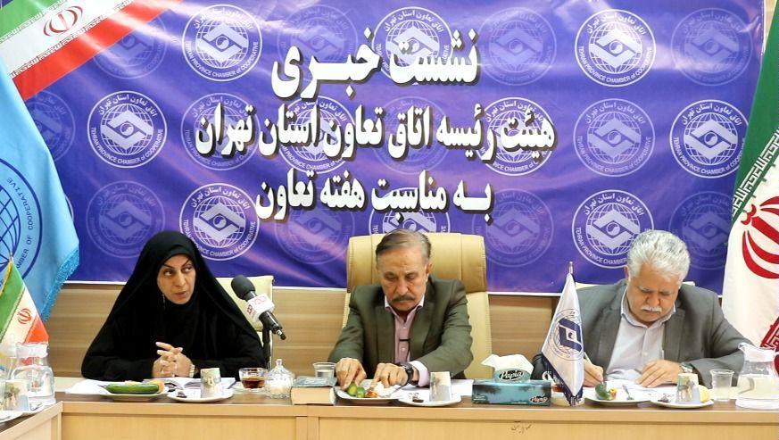 تسهیلات با نرخ سود ۱۵ درصد در انتظار تعاونی‌های تولیدی و توزیعی