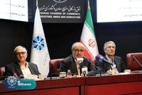 بنگاهداری خط قرمز صندوق توسعه ملی است/ صندوق یک نهاد سرمایه‌گذاری و ثروت آفرینی است