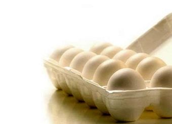 قیمت گذاری دستوری، بلای جان تولید کننده تخم مرغ