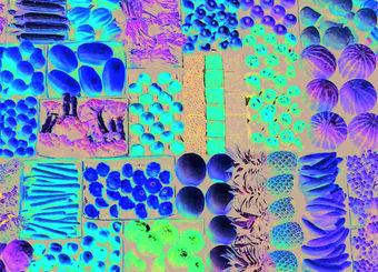 تنظیم بازار میوه شب عید به بخش خصوصی واگذار شد